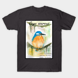 Kingfisher T-Shirt